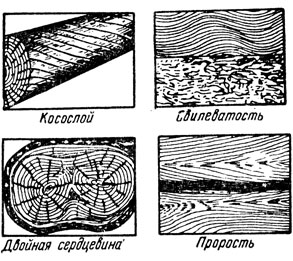 Рис. 70. Пороки строения древесины